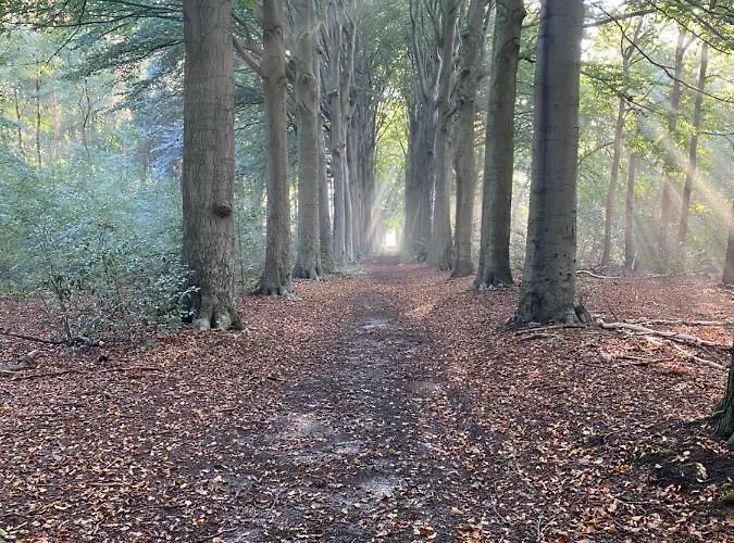 Frühstückspension La Grange 28