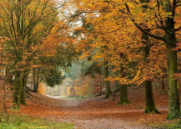 La Grange 28 Frühstückspension